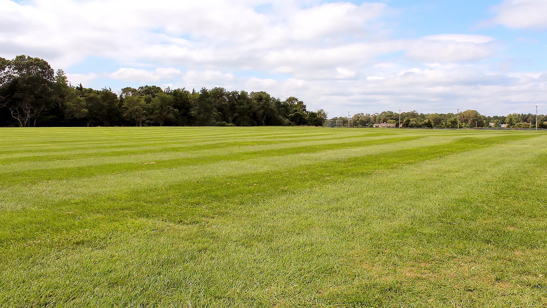 Stockton University intramural grass volleyball fields